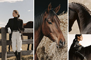 Dark Equestrian | 200 stock images, an Animal Photo by Tale.Haus (Thumbnail 11 of 13)