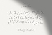 Carmina Burana - Grunge Brush Font, a Script Font by AndrewPixel (Thumbnail 8 of 10)