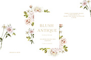 -20% Blush Antique Floral collection, an Illustration by Grace Noboa Illustrations (Thumbnail 7 of 8)