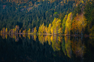 Majestic autumn scenery, a Nature Photo by Alpine Dreams
