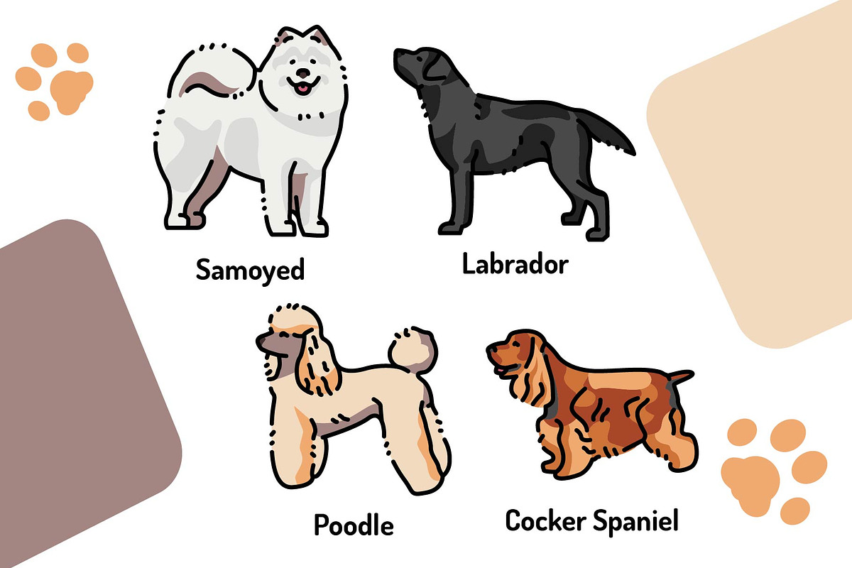 Breed dogs icons set, an Animal Illustration by Backwoods_studio (Photo 5 of 10)