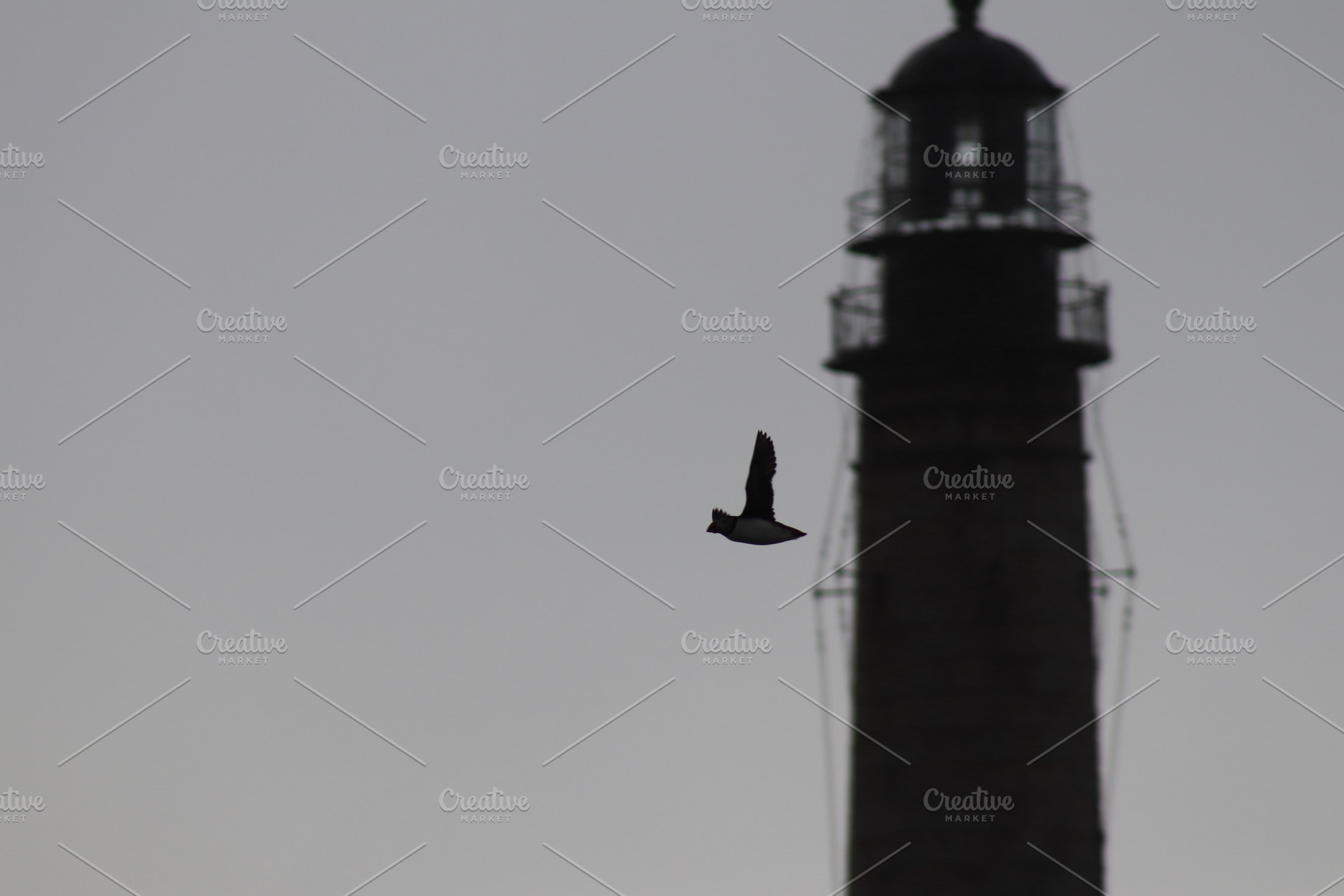 Flying Puffin & Lighthouse Photo, a Photo by AmandaFagan