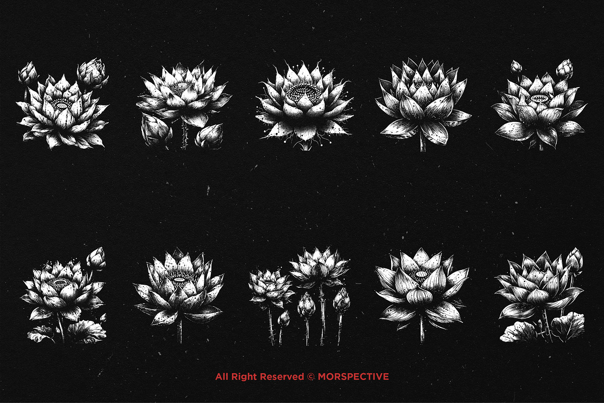 10 Bundle Dark Art Lotus Flower, an Illustration by Morspective (Photo 6 of 7)