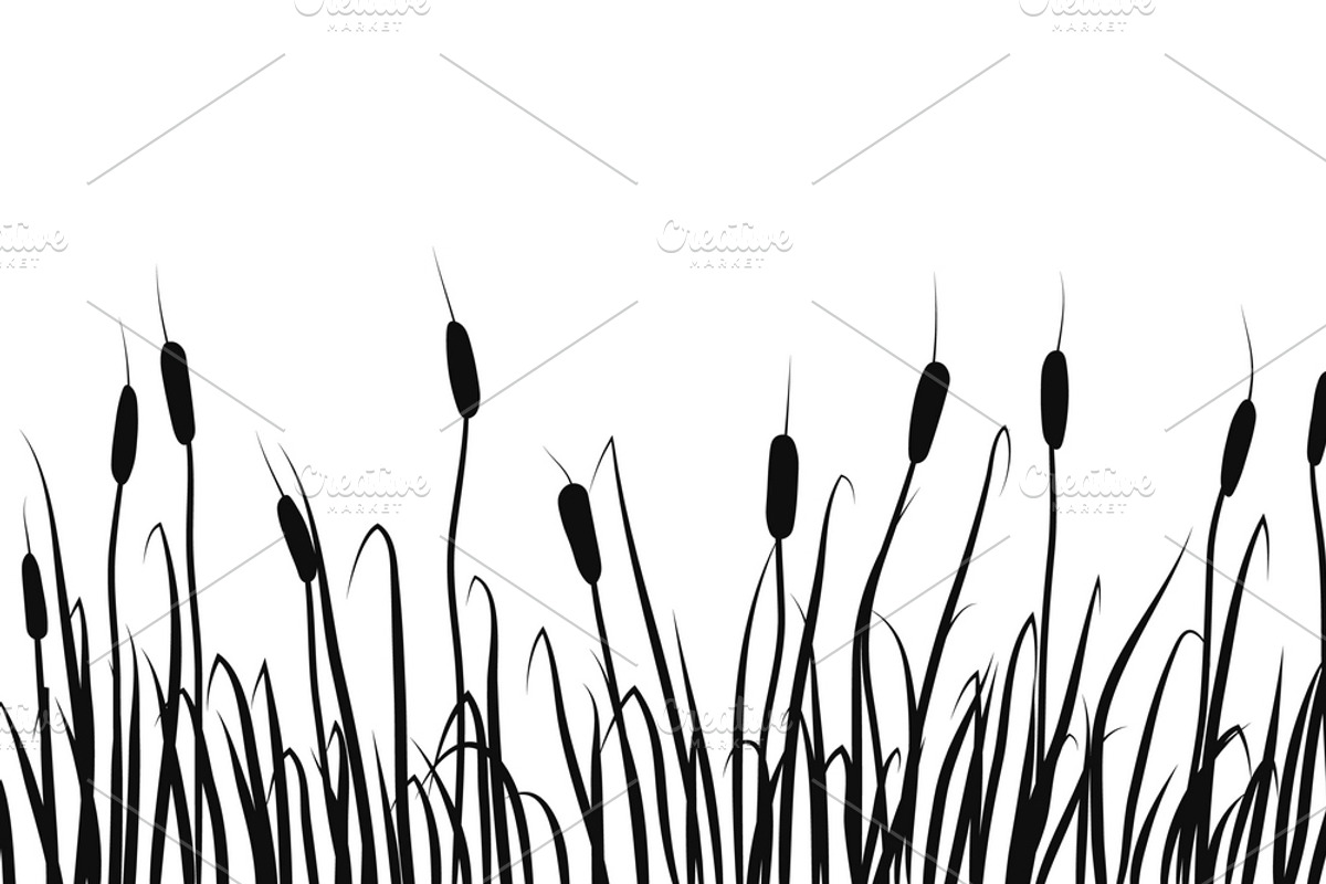 Silhouette of reeds, rushes., a Graphic by Ederella