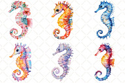Watercolor Summer Seahorse Clipart, an Illustration by Black Bird Studio (Thumbnail 4 of 5)
