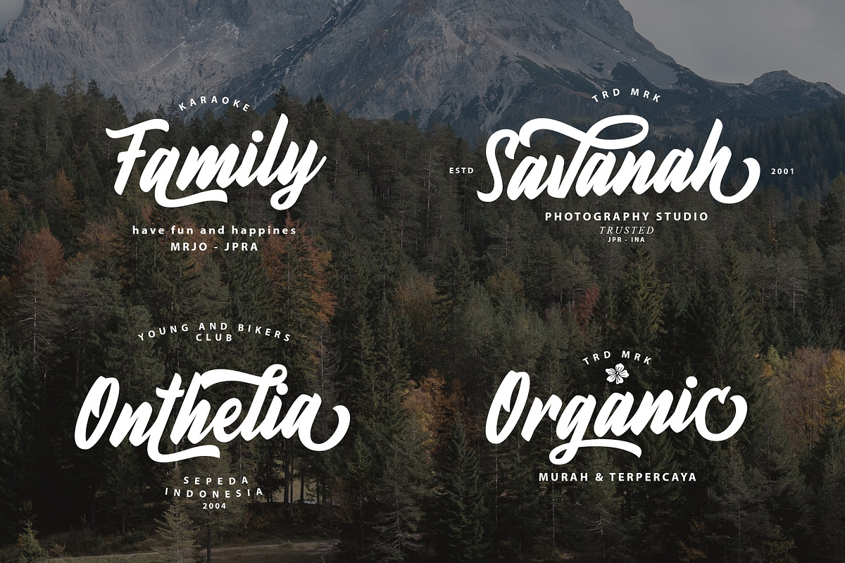 Fineberg | Script Font preview 5