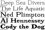 Screwby Wide Family, a Serif Font by Pink Broccoli (Thumbnail 2 of 3)