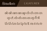 Brisellero, a Serif Font by Rishsketch (Thumbnail 13 of 14)