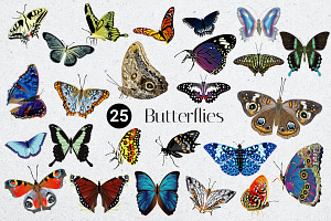 Hand Drawn Butterflies