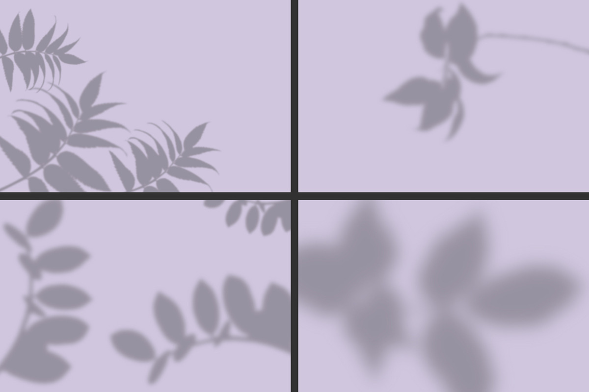 50 plants shadows, a Mockup by AnastasiyaOleynik (Photo 8 of 14)