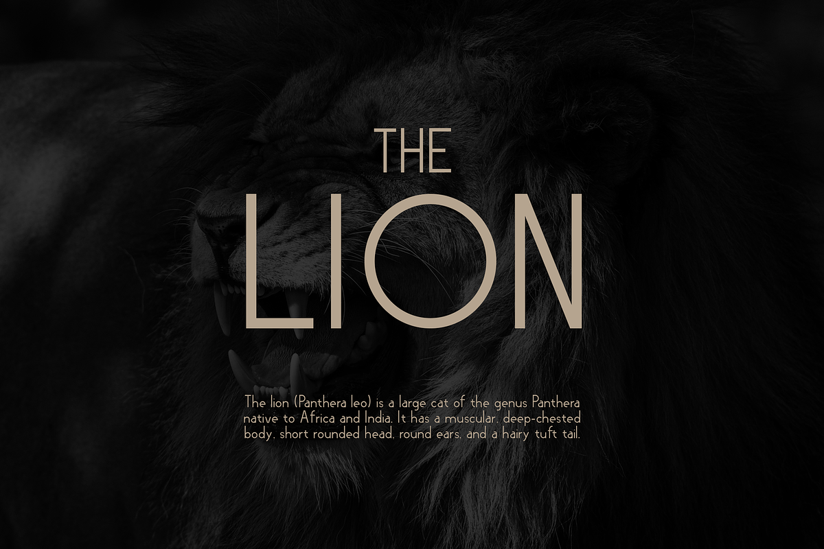Charles - An Elegant Sans Serif Font, a Sans Serif Font by Graphiqa Studio (Photo 5 of 10)