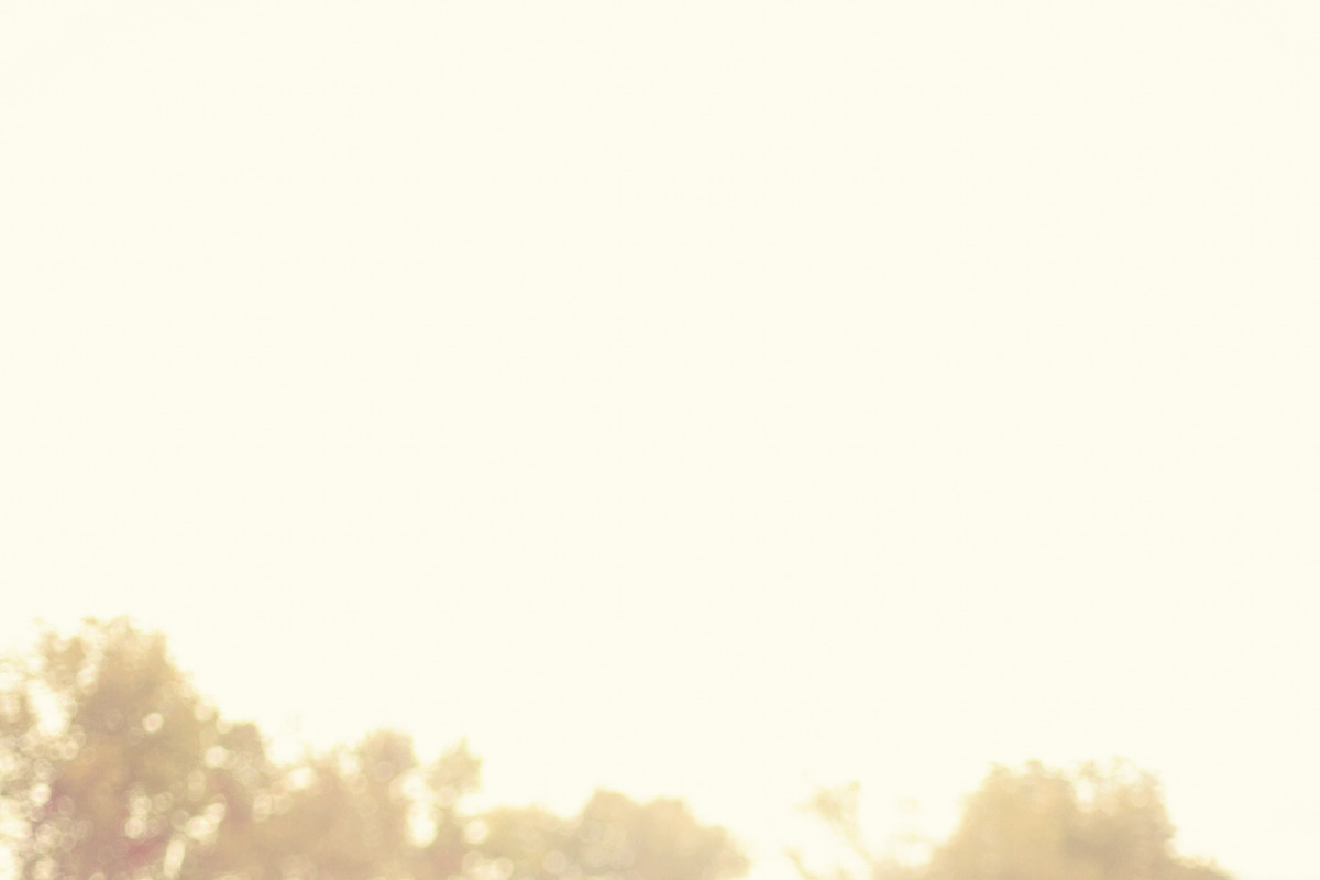 10 Gold Light Lightroom Presets, an Action Add-On by Winsome Effects & Co. (Photo 4 of 4)
