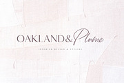 Joules et Jacques Font Duo, a Handwritten Font by Nicky Laatz (Thumbnail 8 of 20)