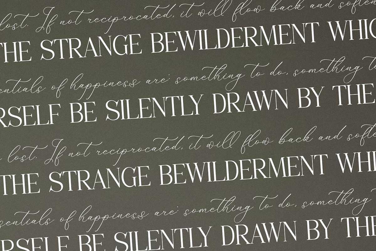 Florens Font Duo, a Serif Font by Storytype Studio (Photo 6 of 15)