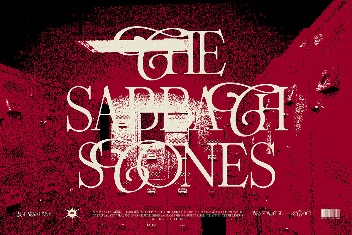 ALICENT HIGHTOWER SERIF DISPLAY, a Serif Font by Tegh co. (Photo 11 of 16)