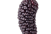 All Fruits Bundle Master Collection, a Food & Drink Photo by FlyeredTemplate (Thumbnail 2 of 130)