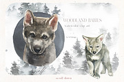 Woodland Babies Wild Animals Clipart, an Animal Illustration by whiteheartdesign (Thumbnail 12 of 28)