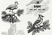 Vintage Bird Line Art Graphics, an Animal Illustration by DENIDigitalArtSudio (Thumbnail 1 of 7)