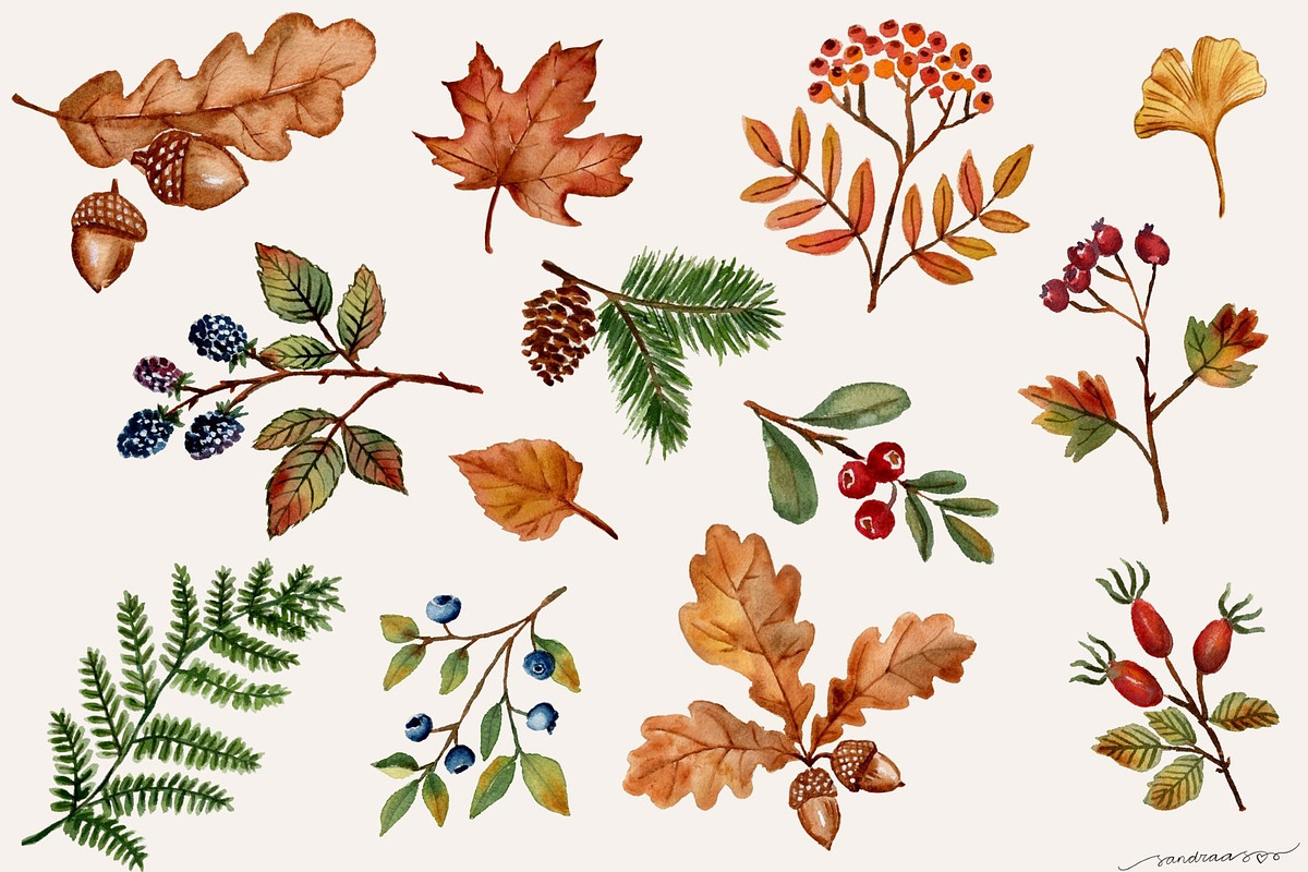 Autumn Leaves Watercolor Clipart PNG, a Seasonal Illustration by SandraGraphicDesign (Photo 2 of 5)
