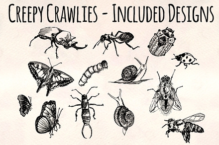 Creepy Crawly Vector Bug Bundle