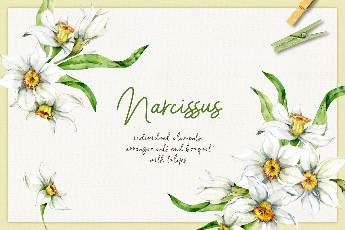 Spring flowers - watercolor clipart, a Decorative Illustration by long summer (Photo 5 of 7)