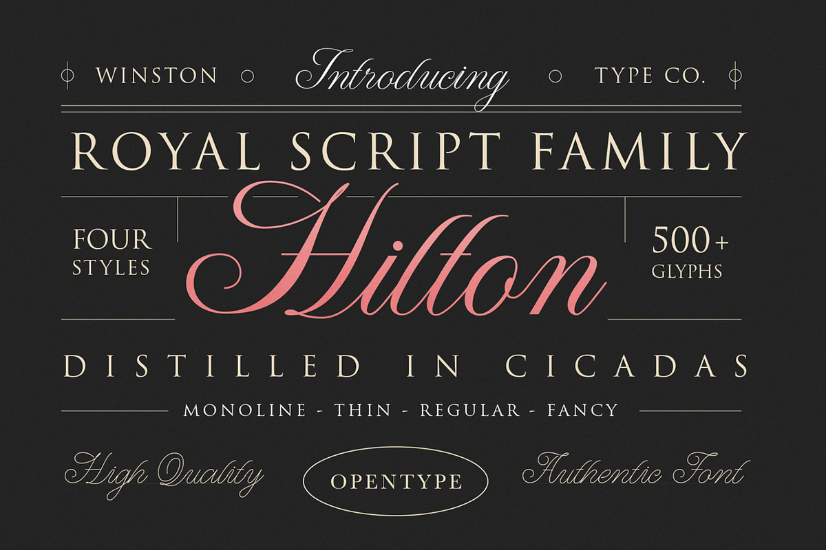 WT Hilton Script, a Font by Winston Type Co. (Photo 1 of 9)