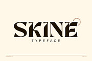 Skine, a Font by ngene (Thumbnail 1 of 13)