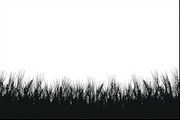 Agriculture Field Silhouette Pack, an Illustration by jahid234 (Thumbnail 5 of 9)