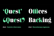 Atol, a Serif Font by Type & Roll (Thumbnail 5 of 8)