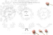 DRIED BOTANICALS COLLECTION, a Decorative Illustration by Luna Dreams (Thumbnail 2 of 13)
