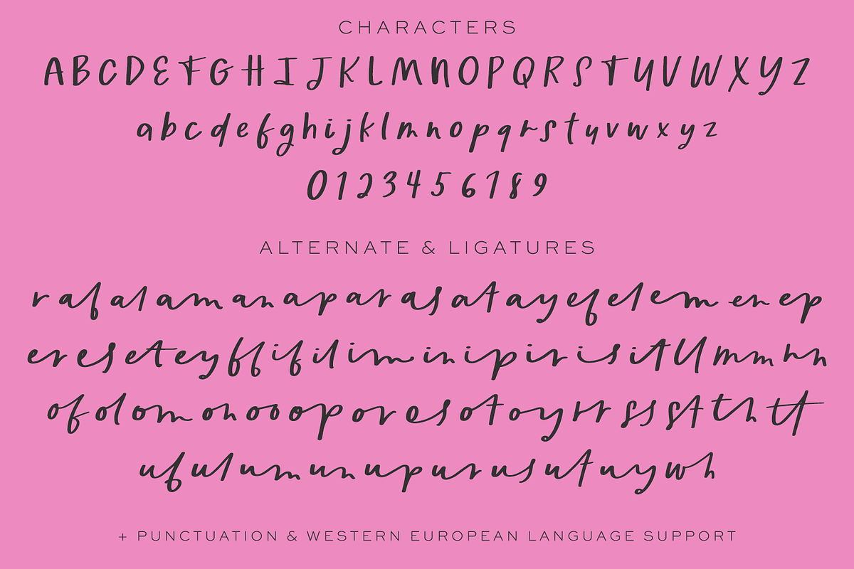 Lemonberries Script, a Handwritten Font by Beck McCormick (Photo 10 of 10)