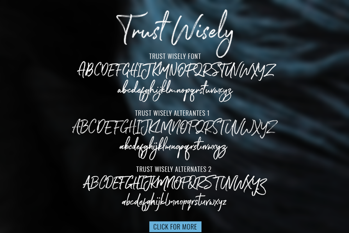 Trust Wisely Fonts, a Script Font by 50Fox (Photo 11 of 13)