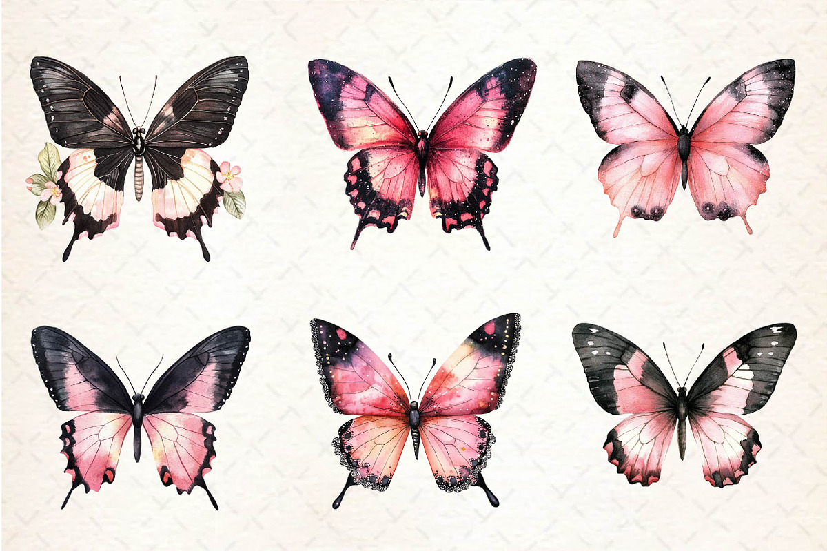 Black and Pink Butterfly Clipart, an Illustration by Dream Creation (Photo 5 of 6)
