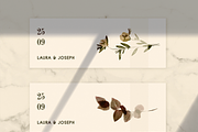 Herbarium: Pressed Dry Flowers vol.1, a Decorative Illustration by AnaPierceArt (Thumbnail 8 of 12)