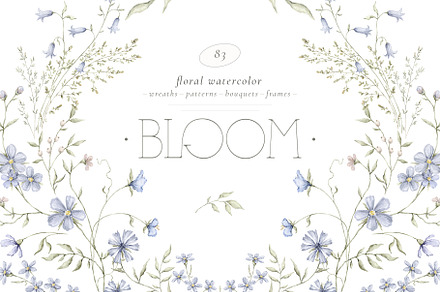 BLOOM Watercolor floral collection, a Decorative Illustration by Kreker Kate