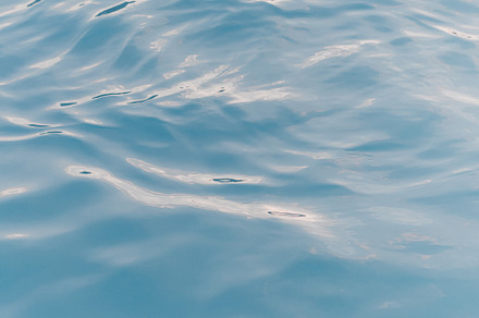Lake Water, Waves, and Ripples
