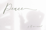 Palm Desert Modern Calligraphy Font, a Script Font by Beck McCormick (Thumbnail 5 of 10)