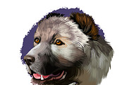 Dogs Pet Portraits Art Print Set 7, an Animal Illustration by Dneprstock (Thumbnail 5 of 5)