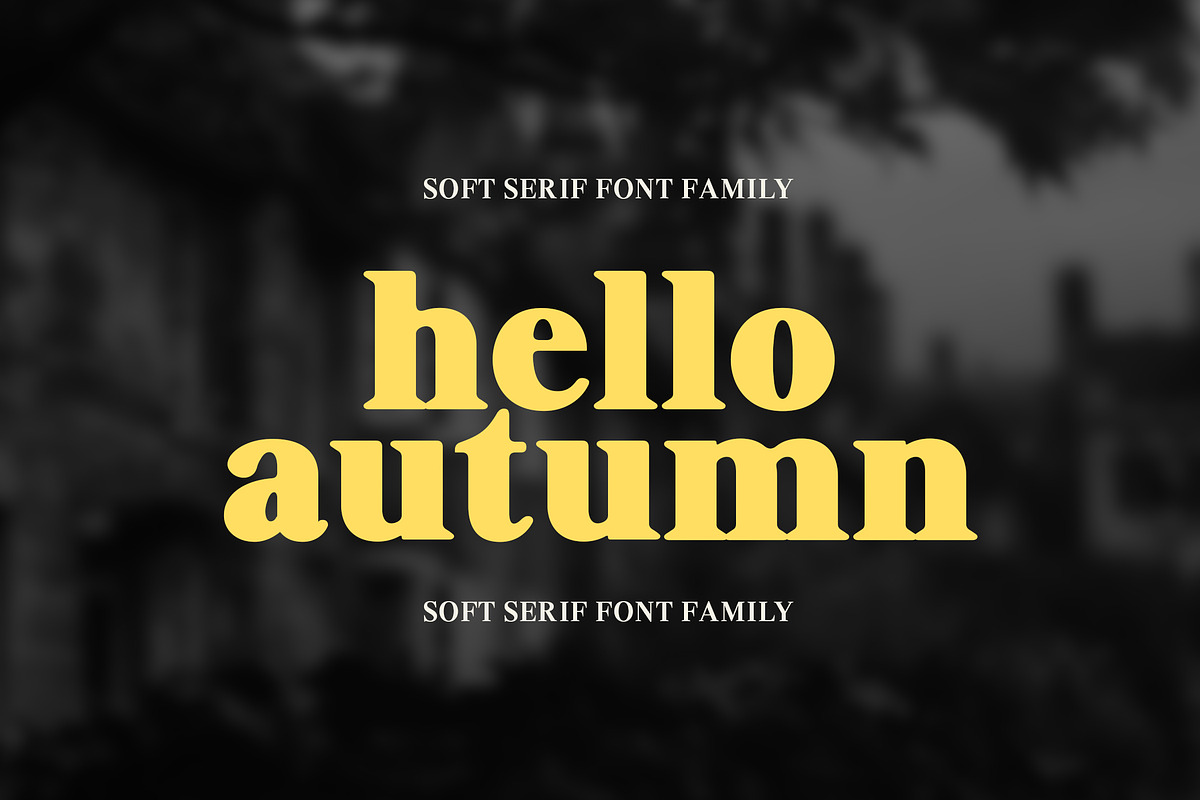Shequan, a Serif Font by Propertype (Photo 11 of 15)