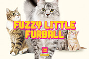 Chop Crap-Funny Handwritten Font, a Handwritten Font by Flawless And Co (Thumbnail 7 of 10)