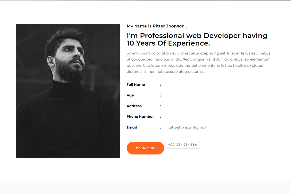 Developer Portfolio HTML Template, a Bootstrap Template by Themeplaza (Photo 2 of 6)