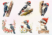 Downy Woodpecker Clipart, Cute Woodp, an Illustration by CreationArt (Thumbnail 5 of 5)