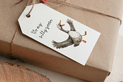 Funny Poultry Bird Clip art, an Animal Illustration by PaintPixelCo (Thumbnail 9 of 9)