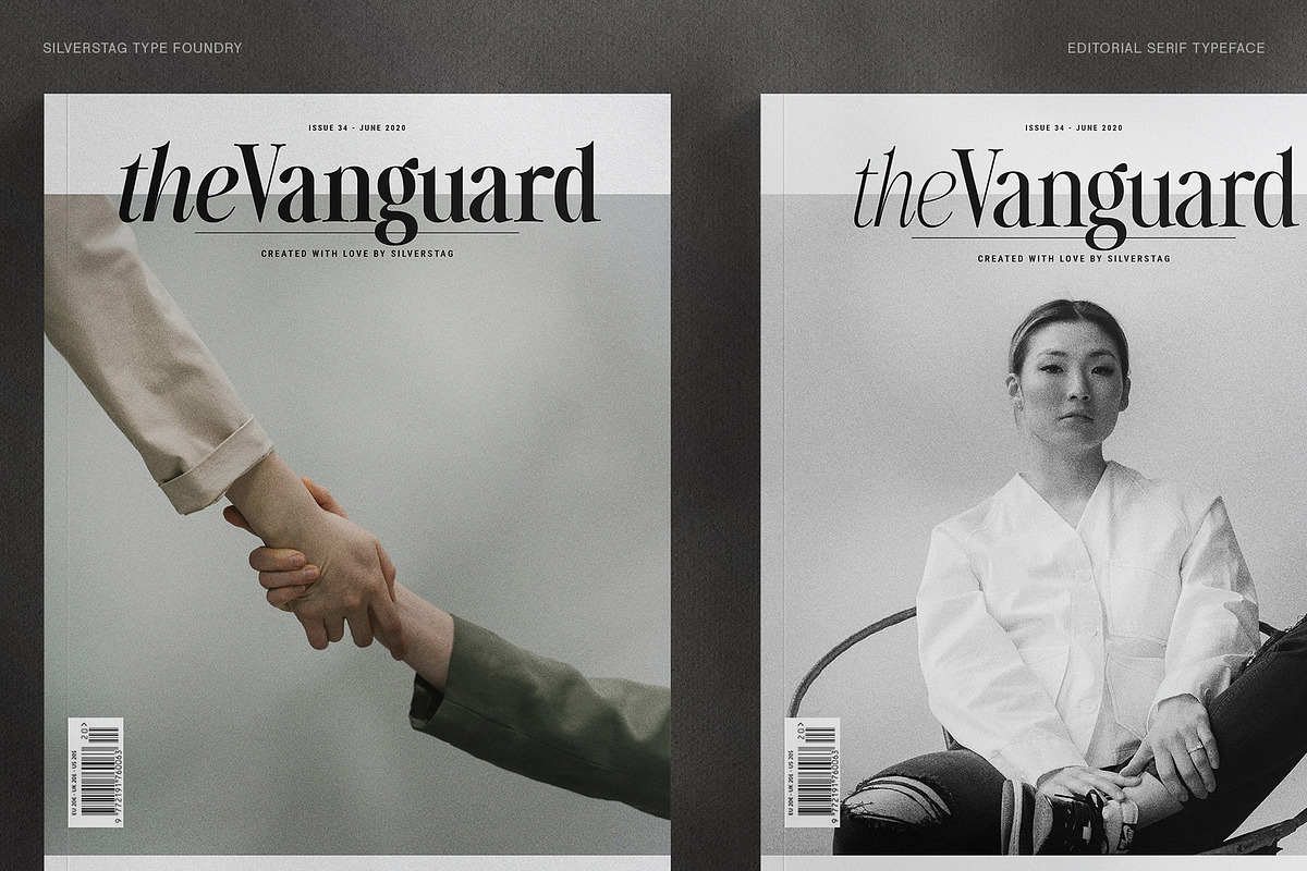 The Silver Editorial - 18 Fonts Pack, a Serif Font by SilverStag Type Foundry (Photo 29 of 30)