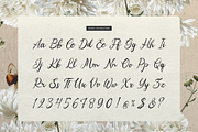 Mercyst Archangell Handwritten, a Font by gracetype_studio (Thumbnail 10 of 12)