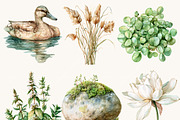 Watercolor Summer Pond Nature, an Object Illustration by BusyDaydesign (Thumbnail 5 of 9)
