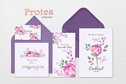 Protea collection, an Illustration by oKOLOstyle (Thumbnail 4 of 6)