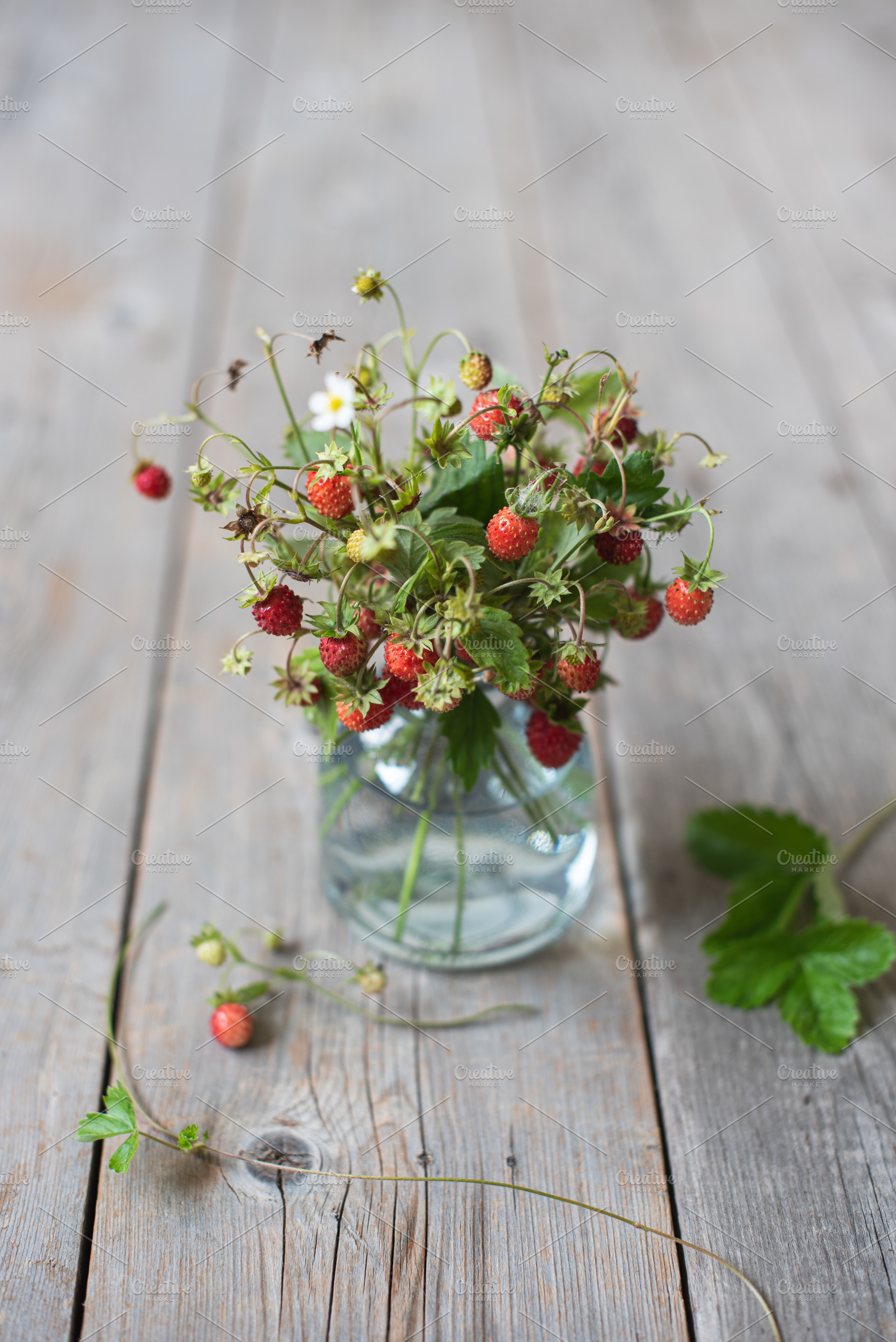 Bouquet of wild strawberries stock photo containing berries and blooming, a Food & Drink Photo by letterberry