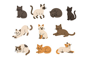 Set of cute cats in different poses, an Animal Illustration by GraphiShop