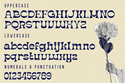 Heating Elegant Font, a Font by 177Studio (Thumbnail 6 of 6)